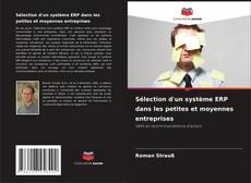 Sélection d'un système ERP dans les petites et moyennes entreprises的封面