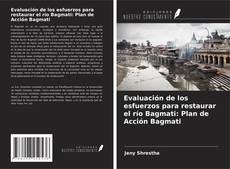 Обложка Evaluación de los esfuerzos para restaurar el río Bagmati: Plan de Acción Bagmati