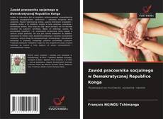 Zawód pracownika socjalnego w Demokratycznej Republice Konga的封面