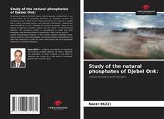 Buchcover von Study of the natural phosphates of Djebel Onk: