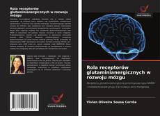 Rola receptorów glutaminianergicznych w rozwoju mózgu的封面
