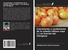 Borítókép a  Crecimiento y rendimiento de la cebolla (Allium cepa L.) en función del nitrógeno - hoz