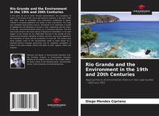 Buchcover von Rio Grande and the Environment in the 19th and 20th Centuries