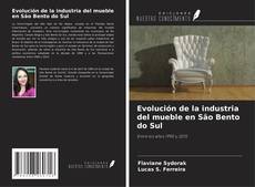Bookcover of Evolución de la industria del mueble en São Bento do Sul