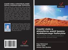 Cząstki stałe w atmosferze wokół basenu wydobywczego fosforytów的封面