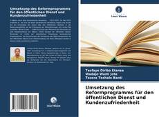 Bookcover of Umsetzung des Reformprogramms für den öffentlichen Dienst und Kundenzufriedenheit