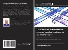 Bookcover of Transporte de portadores de carga en canales conductores unidimensionales