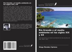 Buchcover von Río Grande y el medio ambiente en los siglos XIX y XX