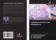 LABIOPALATOSCHISI: UNA PANORAMICA的封面