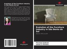 Buchcover von Evolution of the Furniture Industry in São Bento do Sul