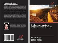 Podziemne systemy magazynowania wody的封面