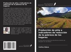 Portada del libro de Producción de piña e indicadores de reducción de la pobreza de los hogares