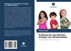 Bookcover of Prüfung der beruflichen Erfolge von Minderheiten