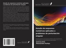 Portada del libro de Estudio de esquemas numéricos aplicados a problemas de perturbación singular