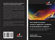 Uno studio di schemi numerici applicati a problemi di perturbazione singolare的封面