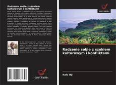 Couverture de Radzenie sobie z szokiem kulturowym i konfliktami
