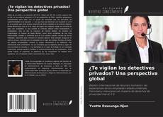 Copertina di ¿Te vigilan los detectives privados? Una perspectiva global