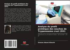 Capa do livro de Analyse du profil protéique des souches de Trypanosoma cruzi (ZIII) 