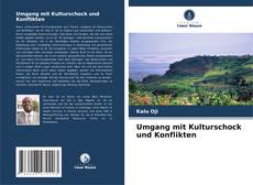 Bookcover of Umgang mit Kulturschock und Konflikten