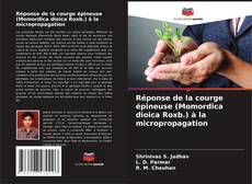 Bookcover of Réponse de la courge épineuse (Momordica dioica Roxb.) à la micropropagation