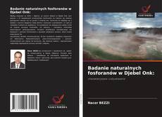 Portada del libro de Badanie naturalnych fosforanów w Djebel Onk: