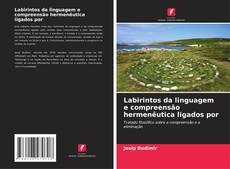 Bookcover of Labirintos da linguagem e compreensão hermenêutica ligados por