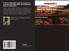 Portada del libro de Indice composite comme moyen de mesurer les difficultés économiques dans le Nebraska