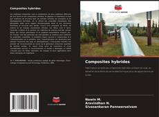 Bookcover of Composites hybrides