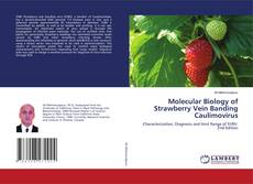 Обложка Molecular Biology of Strawberry Vein Banding Caulimovirus