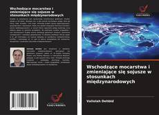 Wschodzące mocarstwa i zmieniające się sojusze w stosunkach międzynarodowych的封面