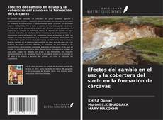 Bookcover of Efectos del cambio en el uso y la cobertura del suelo en la formación de cárcavas