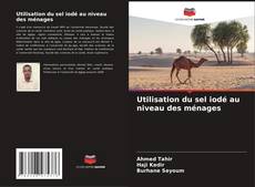 Utilisation du sel iodé au niveau des ménages的封面