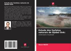 Обложка Estudo dos fosfatos naturais de Djebel Onk: