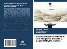 Capa do livro de Antimykotisches Potenzial von Pongamia pinnata L. gegen Botrytis cinerea 