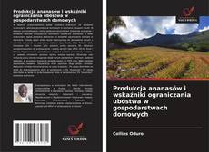 Buchcover von Produkcja ananasów i wskaźniki ograniczania ubóstwa w gospodarstwach domowych
