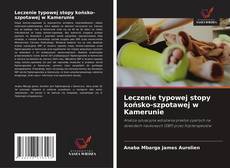 Leczenie typowej stopy końsko-szpotawej w Kamerunie的封面