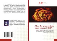 Capa do livro de Abus des biens sociaux dans l'espace OHADA : 