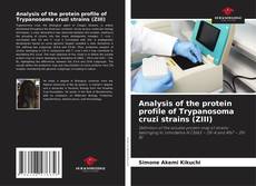 Borítókép a  Analysis of the protein profile of Trypanosoma cruzi strains (ZIII) - hoz
