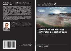 Borítókép a  Estudio de los fosfatos naturales de Djebel Onk: - hoz