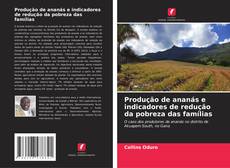 Buchcover von Produção de ananás e indicadores de redução da pobreza das famílias