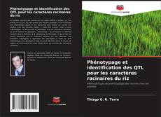 Bookcover of Phénotypage et identification des QTL pour les caractères racinaires du riz
