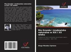 Copertina di Rio Grande i środowisko naturalne w XIX i XX wieku