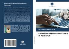 Bookcover of Gemeinschaftsdolmetschen in Kamerun