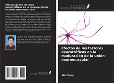 Borítókép a  Efectos de los factores neurotróficos en la maduración de la unión neuromuscular - hoz