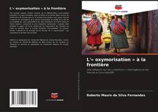L'« oxymorisation » à la frontière的封面