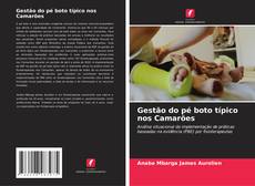 Copertina di Gestão do pé boto típico nos Camarões