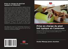 Bookcover of Prise en charge du pied bot typique au Cameroun