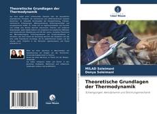 Bookcover of Theoretische Grundlagen der Thermodynamik