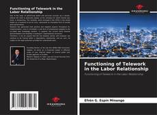 Copertina di Functioning of Telework in the Labor Relationship
