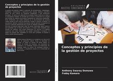 Portada del libro de Conceptos y principios de la gestión de proyectos